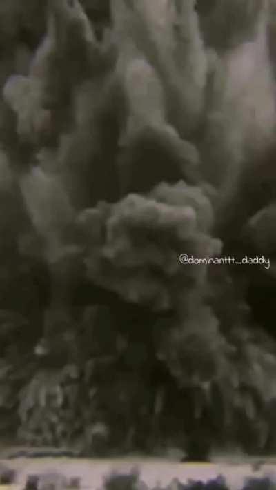 Hail Hitler 🇩🇪🇩🇪