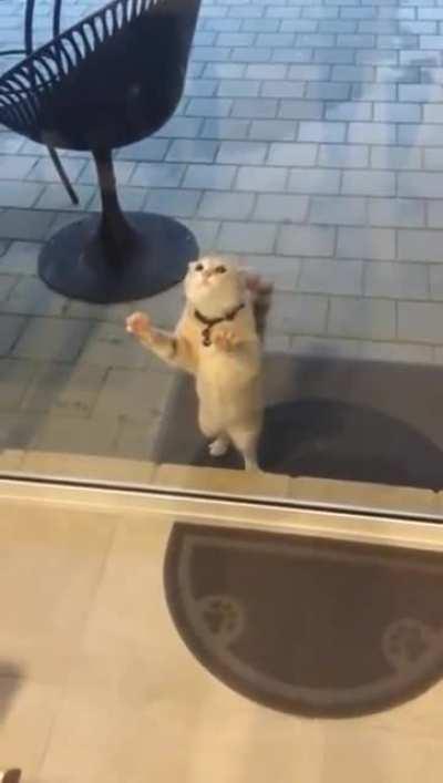 What is this sorcery