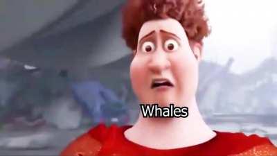 Snotty Boy Glow Up Meme - Genshin Edition