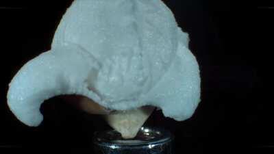 Popcorn popping in slow motion.