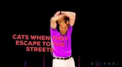 RAPID MULTIPLICATION