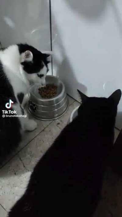 em pleno 2022 ano da tecnologia