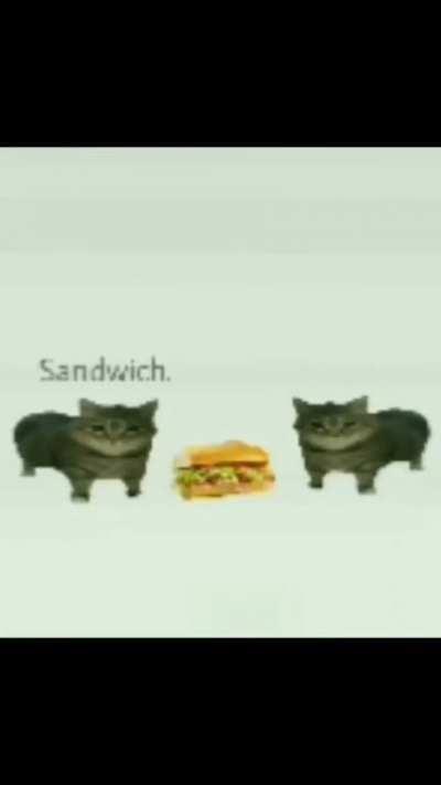 Sandwich
