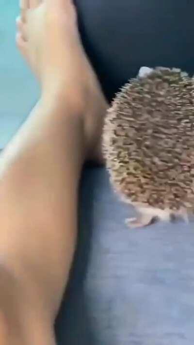 Peace was never an option