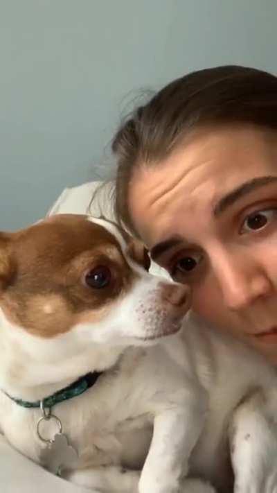 i dare you try it again