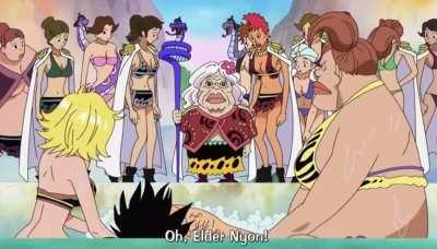 When the island has never met a single man (One Piece)