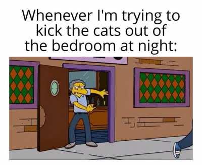 I just want to sleep, ffs.