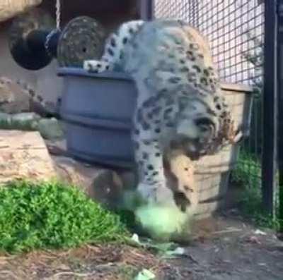 looks like my cat when i’m trying to write with a pen