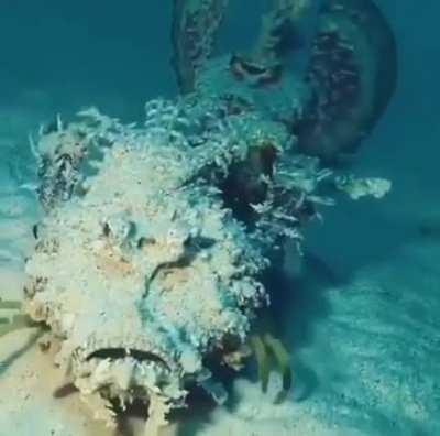 This is a Devil Scorpionfish