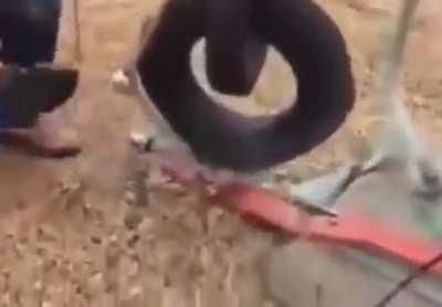 Science is magic; don’t touch AM transmission towers 