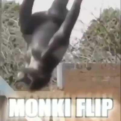 Monki flip