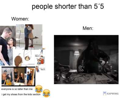 The Contrast 😹🤙