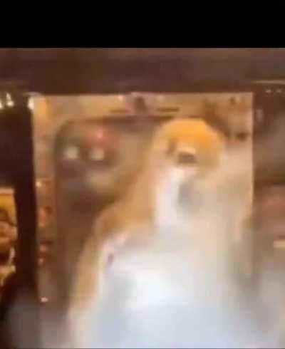 Me tweaking after getting all extremes on my free roll 