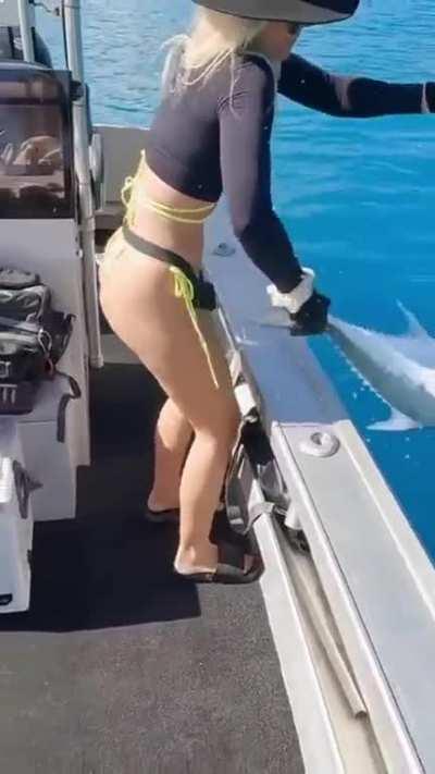 Excellence is not a skill, it's an attitude.