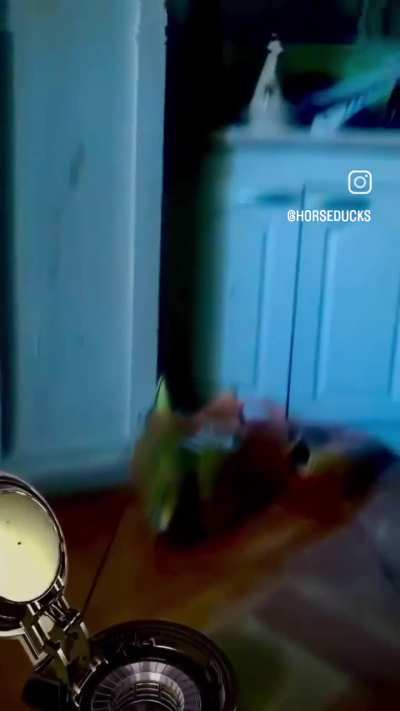 Coco jumbo/Polnareff be like