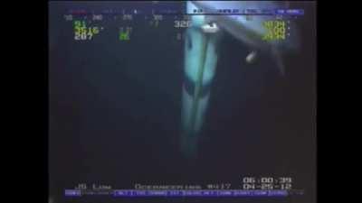 Enormous Bluefin Tuna swims past Oil Rig over a mile beneath the surface. 5.4meter (18ft) long