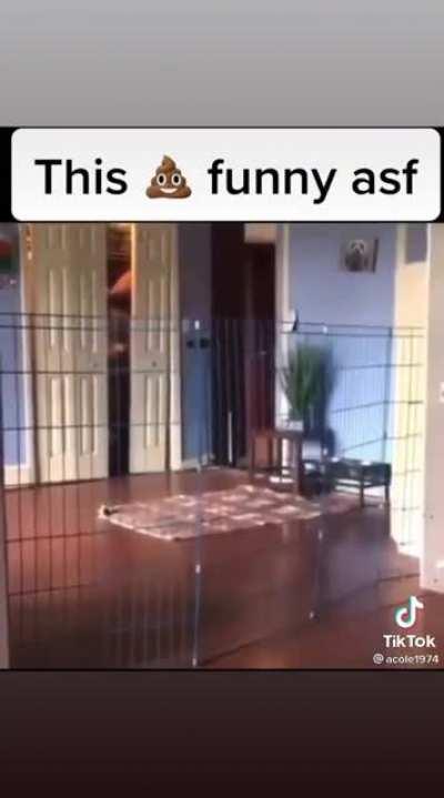 Mr. Hoover... you suck!