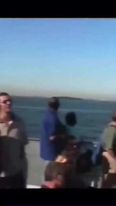 The view do be kinda nice