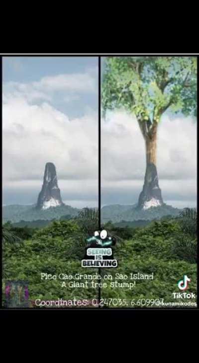 Thats alot of firewood