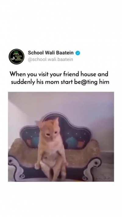 Average asian household