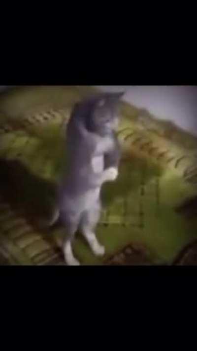 Spider man : Far from Mecca