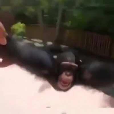 I hope it will make your day better.