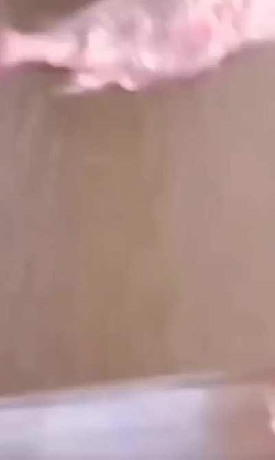 I have: damn fish respect