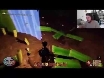 have you seen how orderly I am?