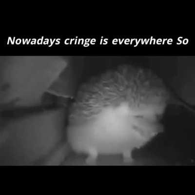 Avg Dank memer hating BTS