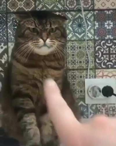 How dare you point at your god ?