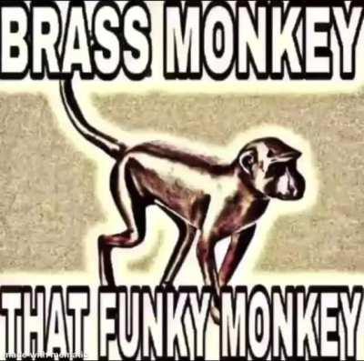 In bananarchist society all monky can be brass monkey if they want to