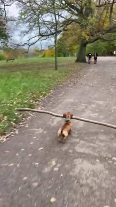 Unmute if you like really endearing commentary