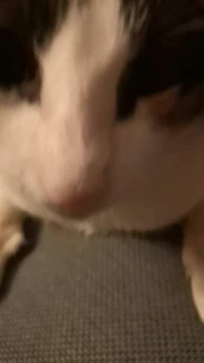 A little thrilling in the morning