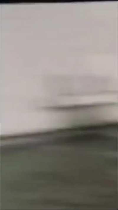 this has to be florida