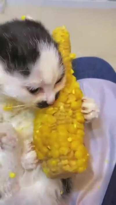 Wunk on the cob