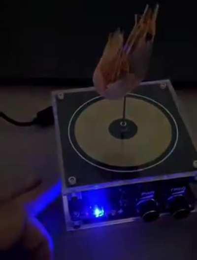 Los antros en Veracruz