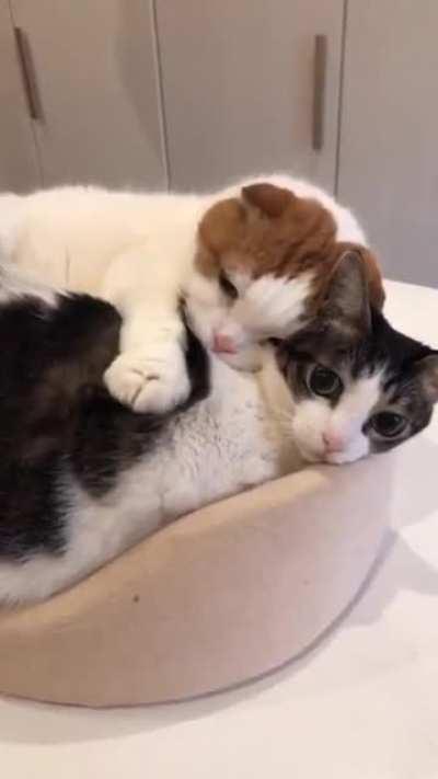 Kneading all over your body