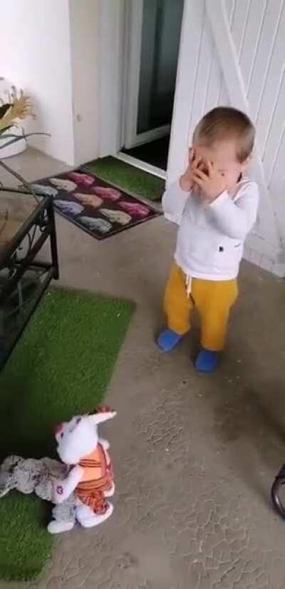 The very first time Billy's new rabbit meets his old rabbit