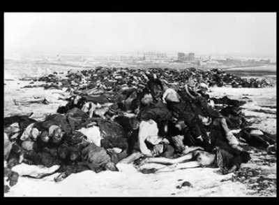 Почему немцы сами себя убивали в Сталинграде? 👇