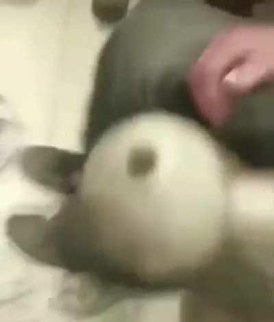 My autistic son sent me this earlier while peaking on LSD, he’s never had the confidence to sing on camera before until now🥰