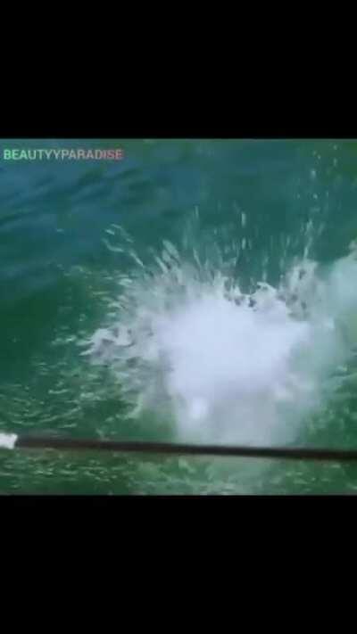 Deepika Padukone please take my power.