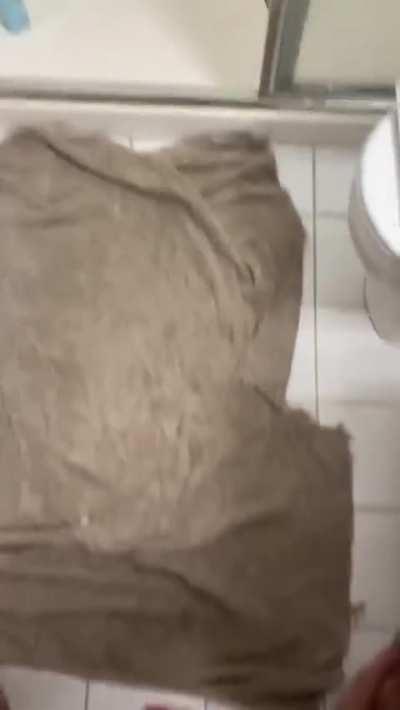 Shooting into the shower 