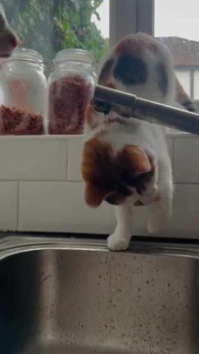 Oooo the taps still on 🥲