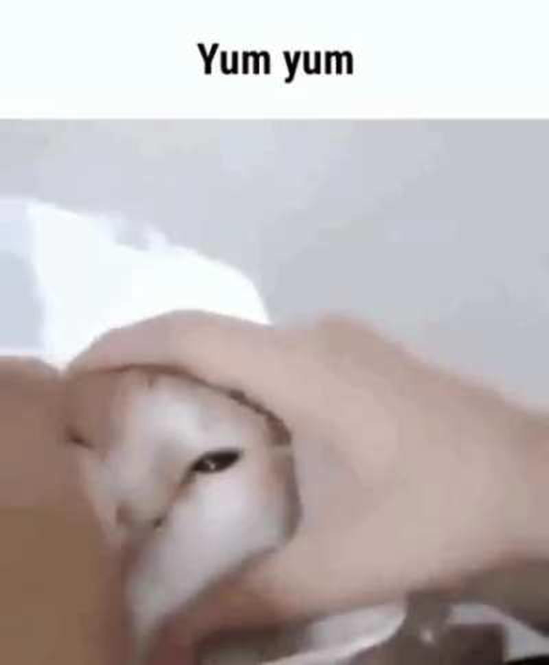 Wait what are you eating?