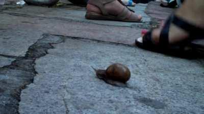 Sound bad, because old, but heavy dancing ground stomps