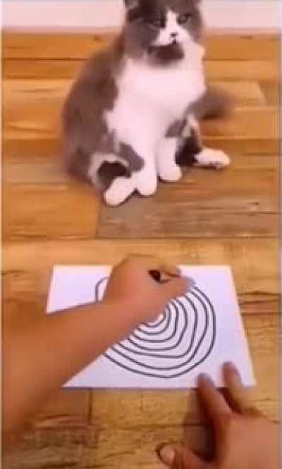 Couldn’t stand the spirals