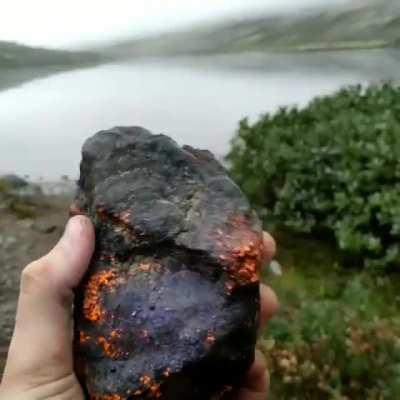 This radiant Sodalite mineral rock. Tenebrescence is the ability of minerals to change colour when exposed to light.