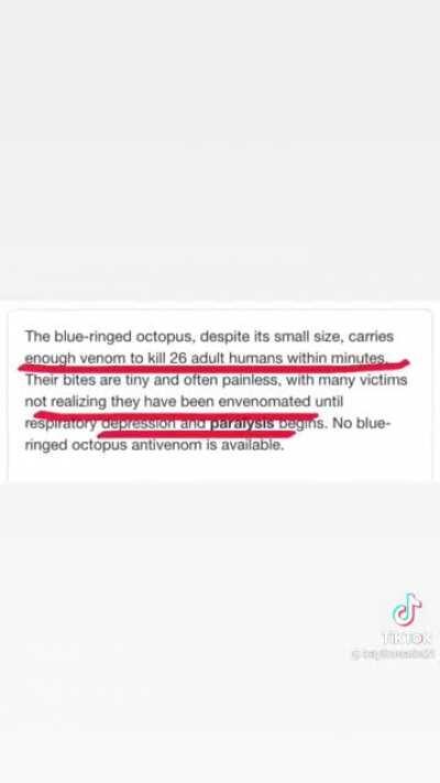 Girl finds octopus and thinks it's a good idea to hold it. NOT MY VIDEO