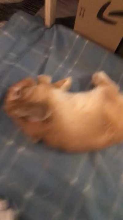 Another hard day at the office? 🐇