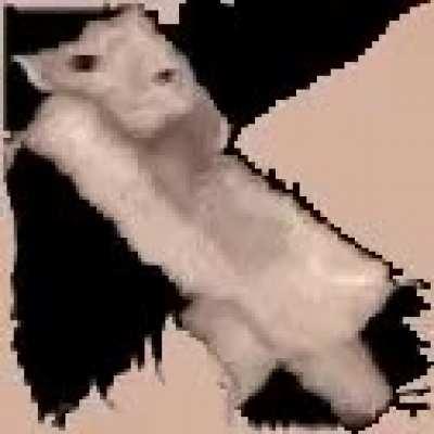 HELP HES OFFLINEEE who think they for you understand keep the Rod scale mouth mouth mouth mouth mouth mouth𝕾𝖖𝖚𝖎𝖉𝖜𝖆𝖗𝖉? 𝕾𝖖𝖚𝖎𝖉𝖜𝖆𝖗𝖉? 𝕾𝖖𝖚𝖎𝖉𝖜𝖆𝖗𝖉? 𝕴 𝖒𝖆𝖉𝖊 𝖙𝖍𝖎𝖘 𝖔𝖓𝖊 𝕠𝕟𝕖 one of state of course, he calls itself because honestly called worse things by its